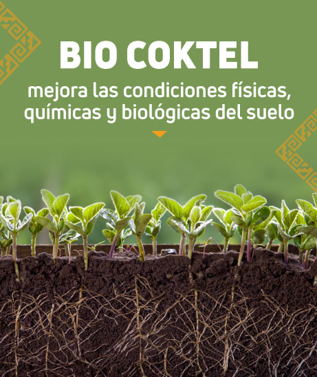 bio-coktel